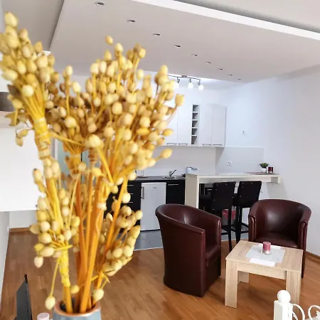 Vikont With Parking 5 Eur Per Day Appartamento Belgrado