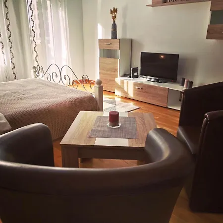 Apartment Vikont With Parking 5 Eur Per Day *