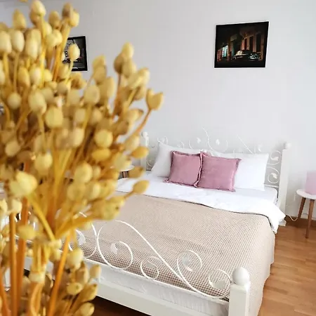 Vikont With Parking 5 Eur Per Day Apartamento Belgrado